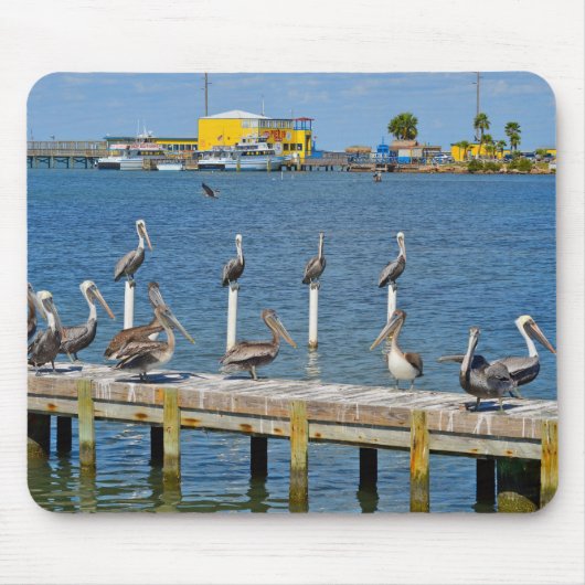 Pelicans Sunbathing Muismat (Voorkant)