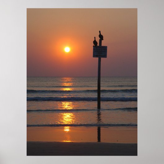 Pelicans Sunrise Ocean Daytona Beach FL Poster (Voorkant)