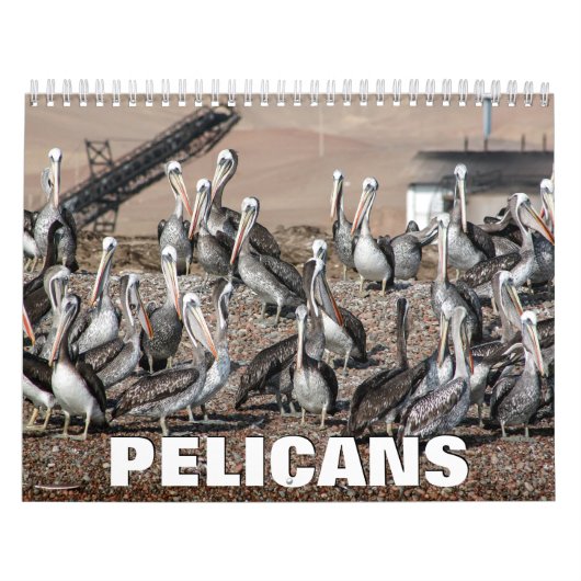 Pelicans Wall Agenda Kalender (Hoes)