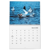 Pelicans Wall Agenda Kalender (Mar 2026)
