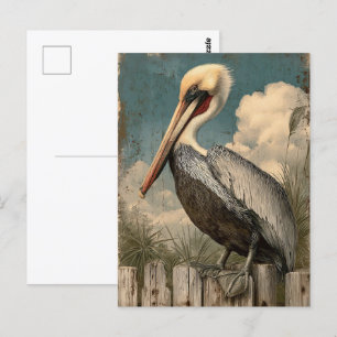  pelikaan briefkaart