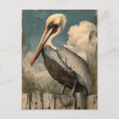  pelikaan briefkaart (Voorkant)