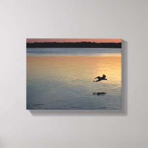 Pelikaan die bij zonsondergang over de rivier vlie canvas afdruk
