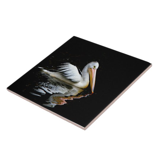 Pelikaan, grote witte vogel, tegeltje (Zijkant)