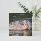 Pelikaan in beweging (Staand voorkant)