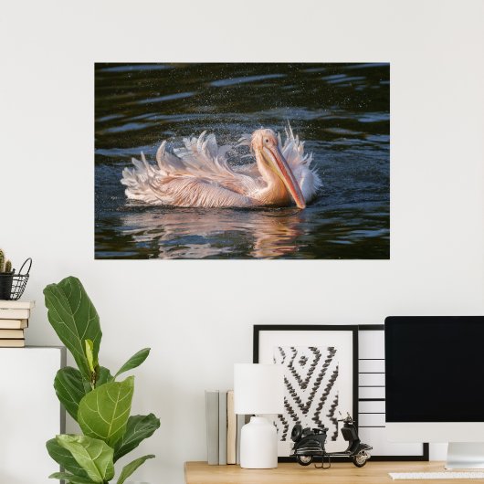 Pelikaan in beweging poster (Thuiskantoor)
