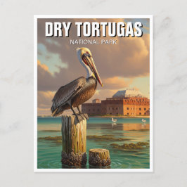 Pelikaan in Dry Tortugas National Park Briefkaart