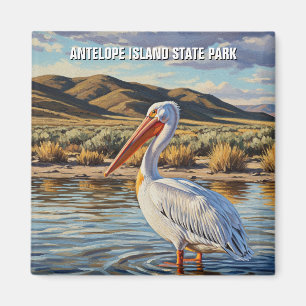 Pelikaan in het Antelope Island State Park in Utah Magneet