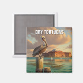 Pelikaan in het Dry Tortugas National Park Magneet (Voorkant / Achterkant)