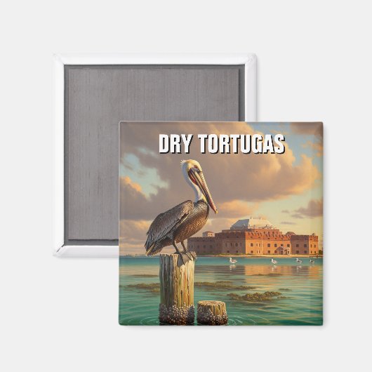 Pelikaan in het Dry Tortugas National Park Magneet (Voorkant / Achterkant)