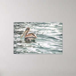 Pelikaan in het water canvas afdruk