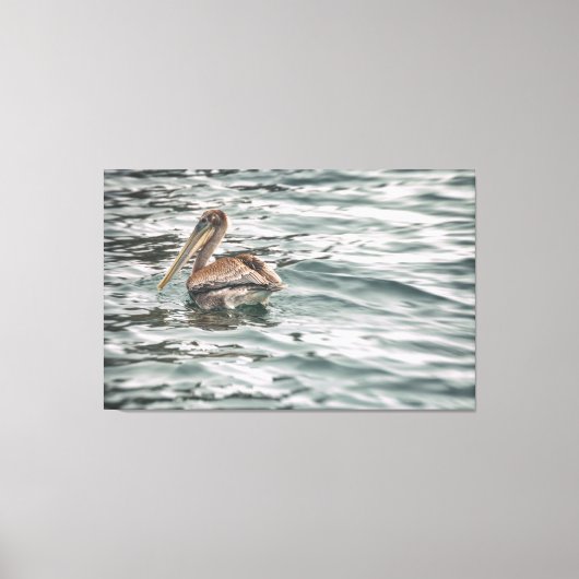 Pelikaan in het water canvas afdruk (Voorkant)
