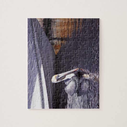 Pelikaan in het water legpuzzel (Verticaal)