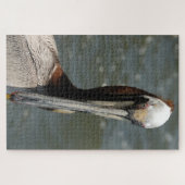 Pelikaan in het wild legpuzzel (Horizontaal)
