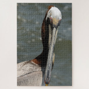 Pelikaan in het wild legpuzzel