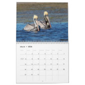 Pelikaan Kalender 2026 (Mar 2026)