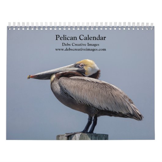 Pelikaan Kalender 2026 (Hoes)