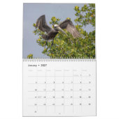 Pelikaan Kalender 2026 (Jan 2027)