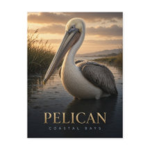 Pelikaan Kustbaaien Wildlife DIER