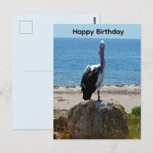 Pelikaan Met De Blik, Verjaardagsansichtkaart Briefkaart