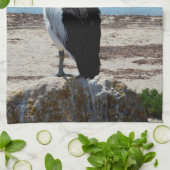 Pelikaan neergestreken op een strandrots, theedoek (Gevouwen)