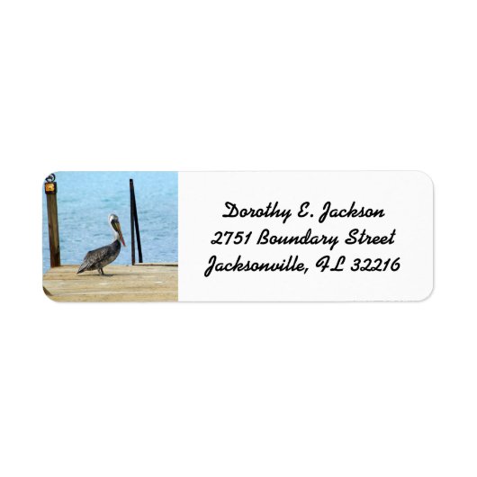 Pelikaan op de pier, Curaçao, Foto Retouradres Etiket (Voorkant)