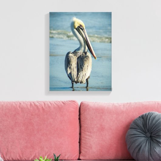 Pelikaan op een strand van Florida Canvas Afdruk (Insitu (Woonkamer))