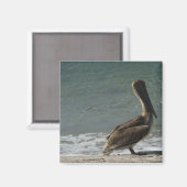 Pelikaan op het strand Foto Magneet (Voorkant / Achterkant)