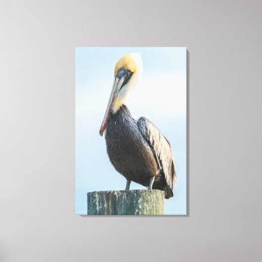 Pelikaan op pyloon canvas afdruk (Voorkant)