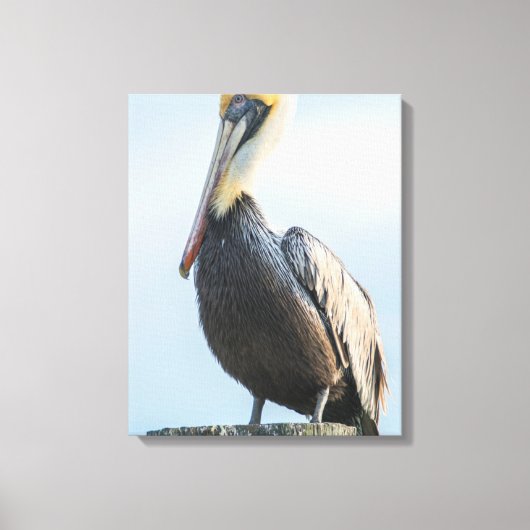Pelikaan op pyloon canvas afdruk (Voorkant)