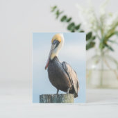 Pelikaan op pyloon geperst briefkaart (Staand voorkant)