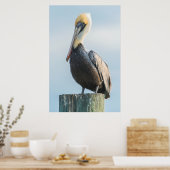 Pelikaan op pyloon geperst poster (Keuken)