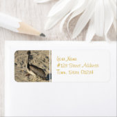 Pelikaan op strand Mailing Labels (Insitu)