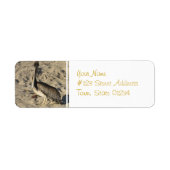 Pelikaan op strand Mailing Labels (Voorkant)