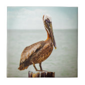  pelikaan over de oceaan tegeltje (Voorkant)