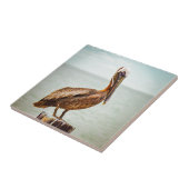  pelikaan over de oceaan tegeltje (Zijkant)