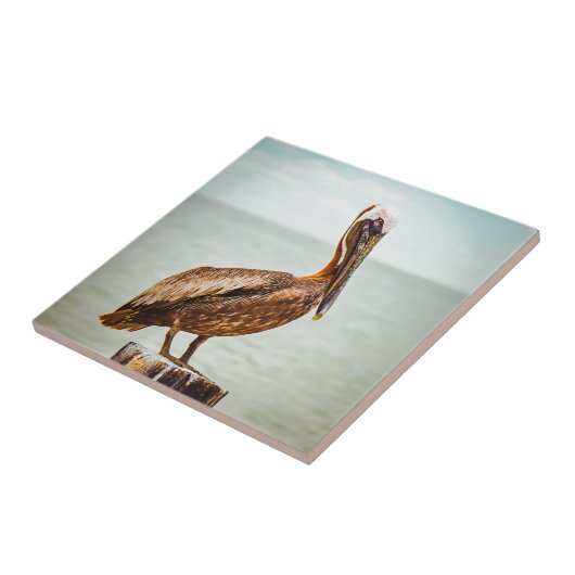  pelikaan over de oceaan tegeltje (Zijkant)