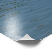 pelikaan paar zwemmen foto afdruk (Hoek)