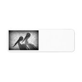 Pelikaan Pals in Zwart Etiket (Voorkant)