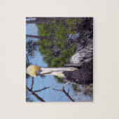 Pelikaan Perched Legpuzzel (Verticaal)