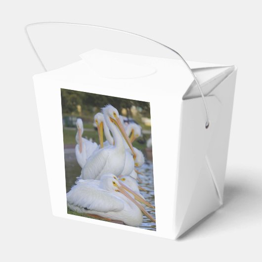 Pelikaan Pile Favor Box Bedankdoosjes (Achterkant)