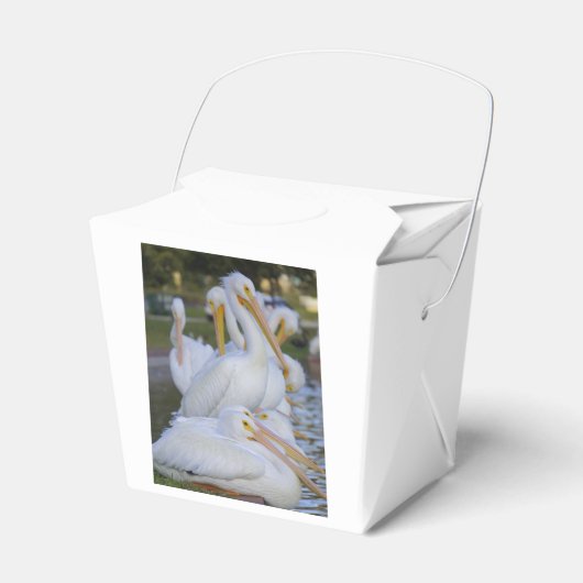 Pelikaan Pile Favor Box Bedankdoosjes (Voorkant Zijde)