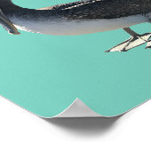 Pelikaan Poster (Hoek)