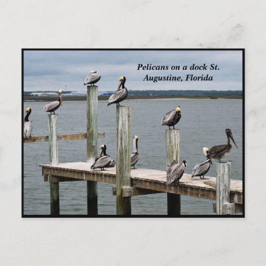 Pelikaan rust op een dok feestdagenkaart (Voorkant)