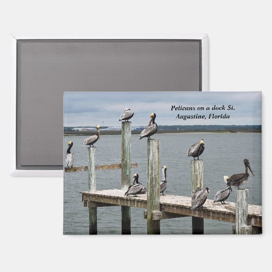Pelikaan rust op een dok magneet (Voorkant / Achterkant)