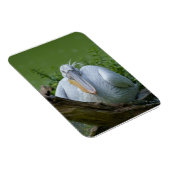 Pelikaan sereniteit Een boeiende blik Magneet (Rechterzijde)