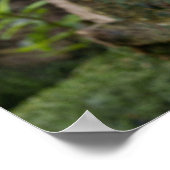 Pelikaan sereniteit Een boeiende blik Poster (Hoek)