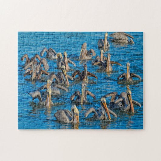 Pelikaan vogel Florida. Legpuzzel (Horizontaal)