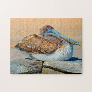 Pelikaan vogel Florida. Legpuzzel
