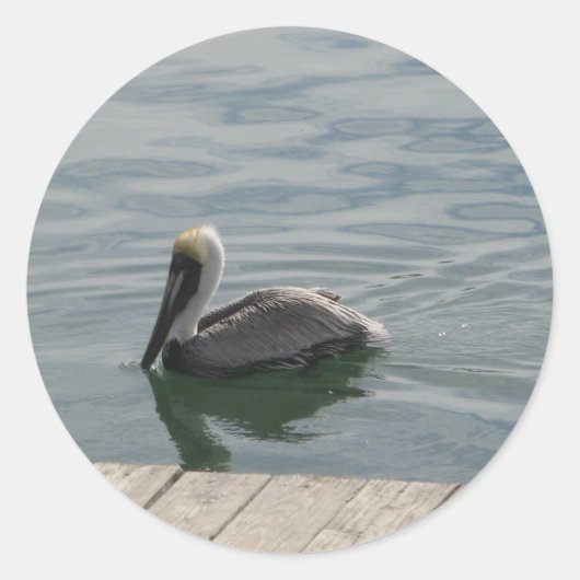 Pelikaan Vogel Zwemmen op het Water Foto Ronde Sticker (Voorkant)
